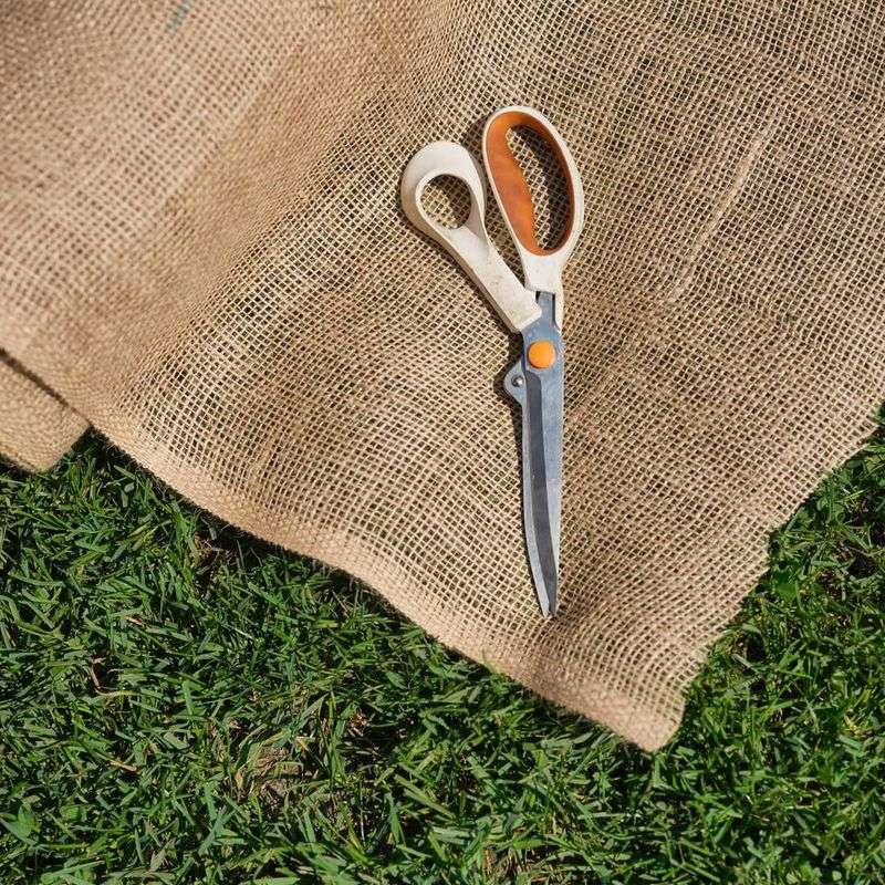Protect Tender Varieties With Burlap