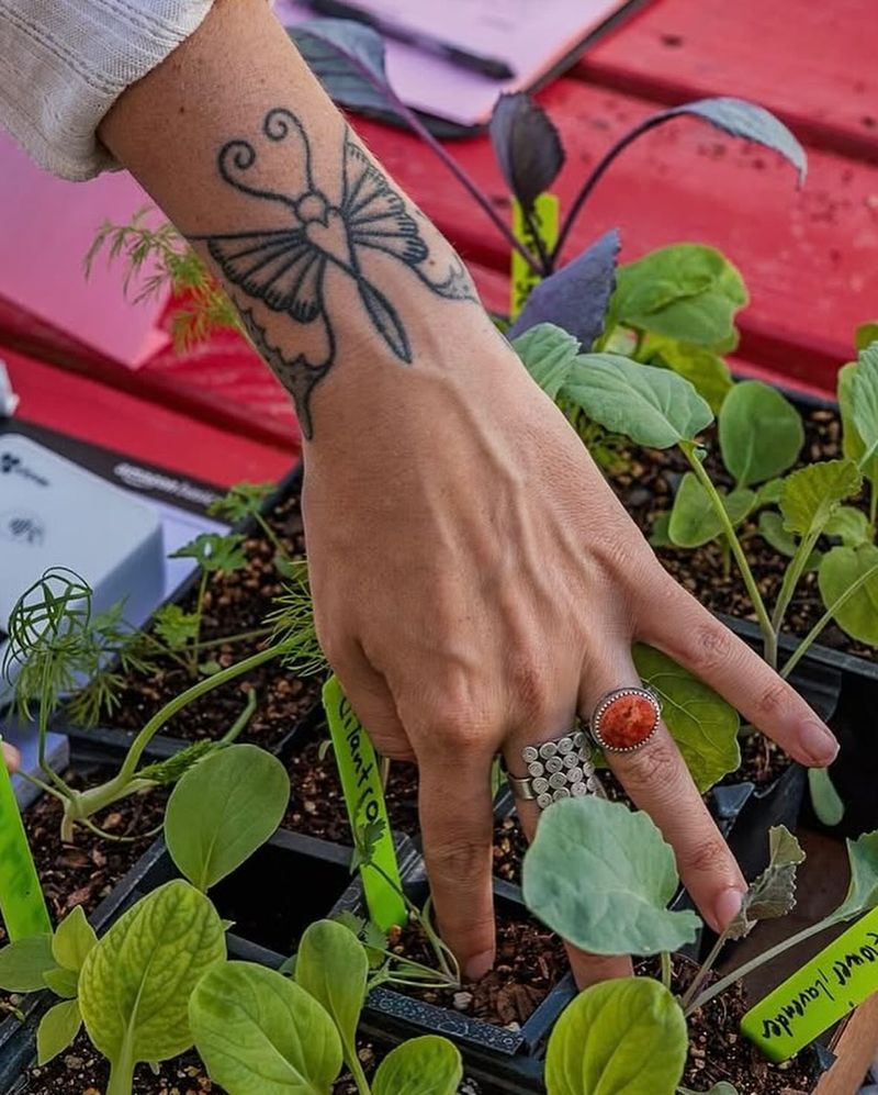 Prepare Vegetable Beds For Fall Planting