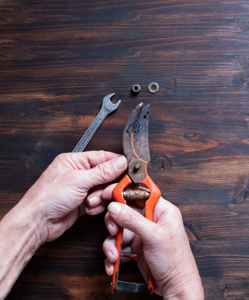 Gather Clean, Sharp Tools For A Professional Cut