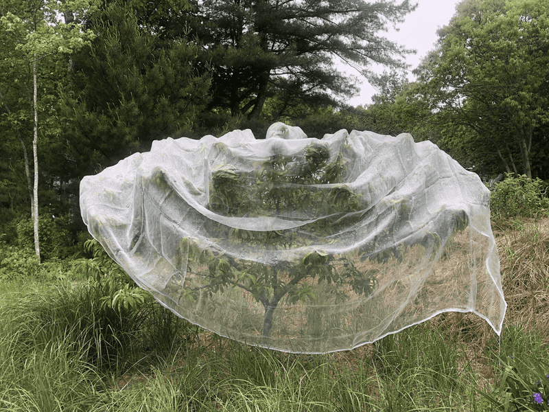 Monitor Weather and Cover When Needed