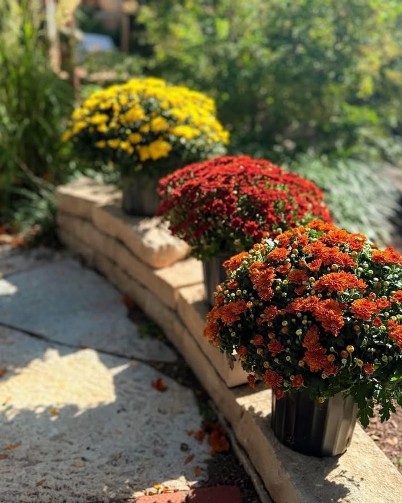 Keep Soil Consistently Moist