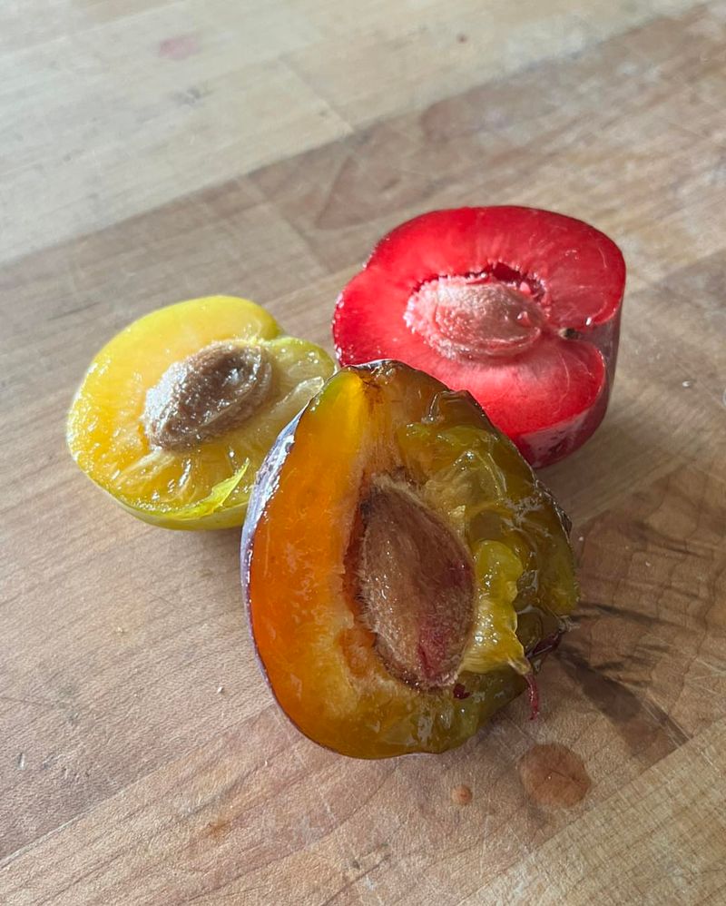 Plum Pits