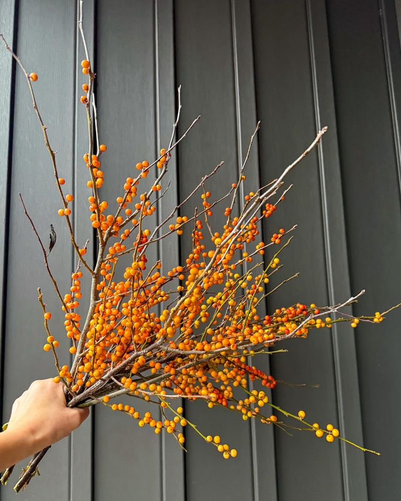 Add Branches with Berries