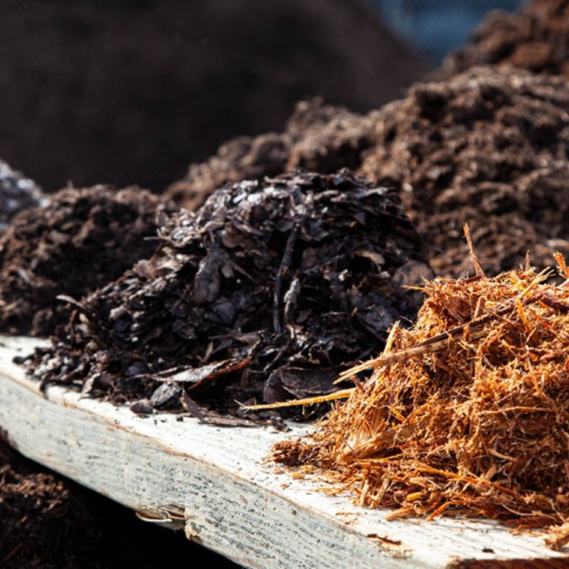 Amend Your Soil Before You Plant Anything