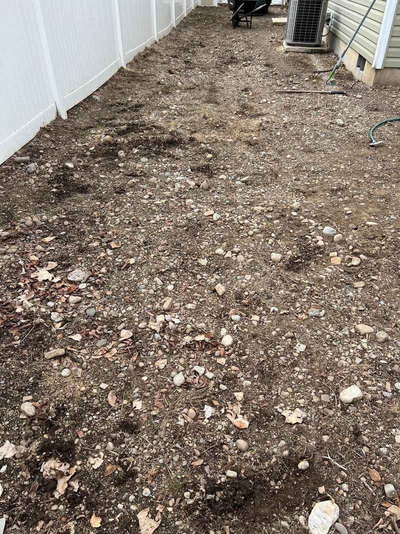 Prepare Your Lawn Surface Properly