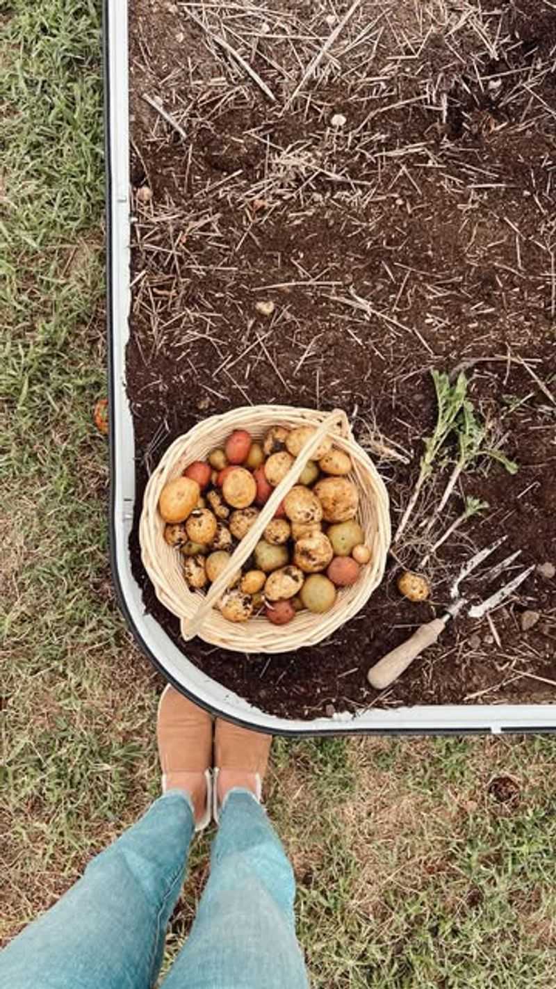 Prepare Your Soil Properly