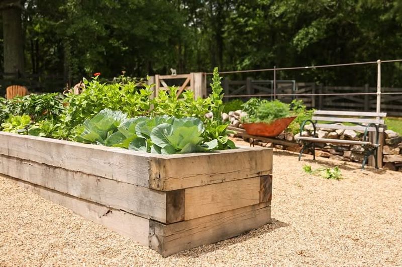 Elevate Your Garden Bed Height