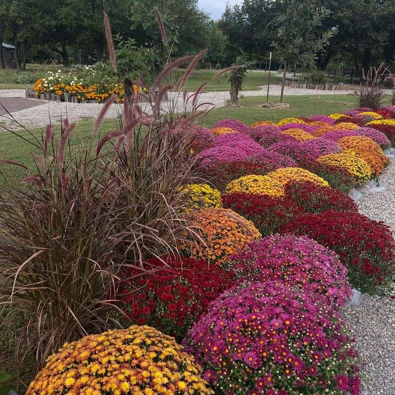 Missing Local Growing Opportunities