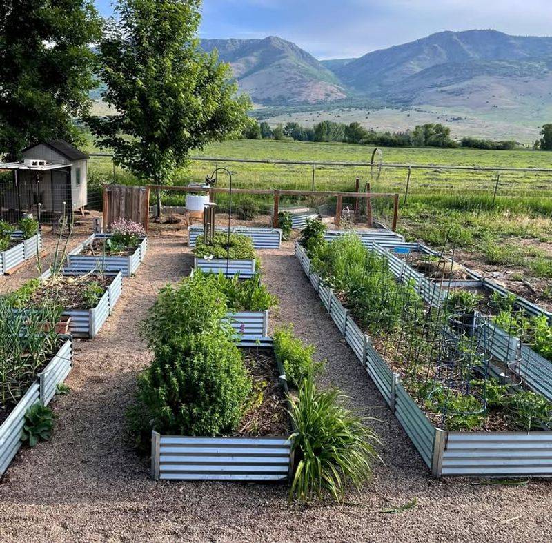Corrugated Metal Raised Beds