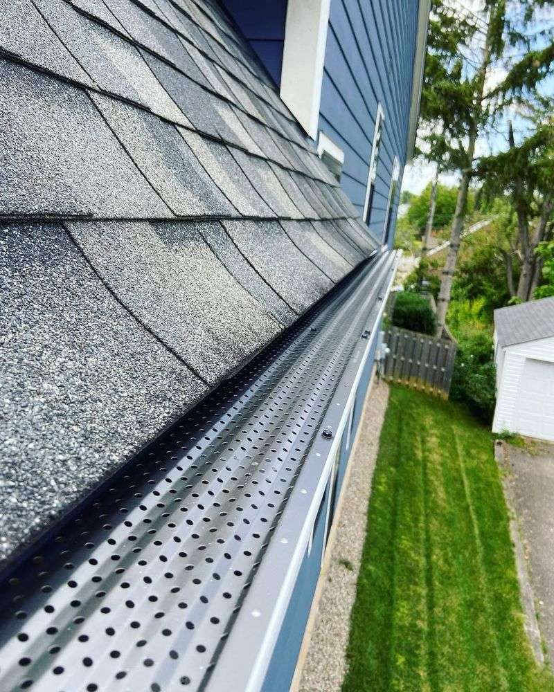 Preventing Leaf Problems Proactively