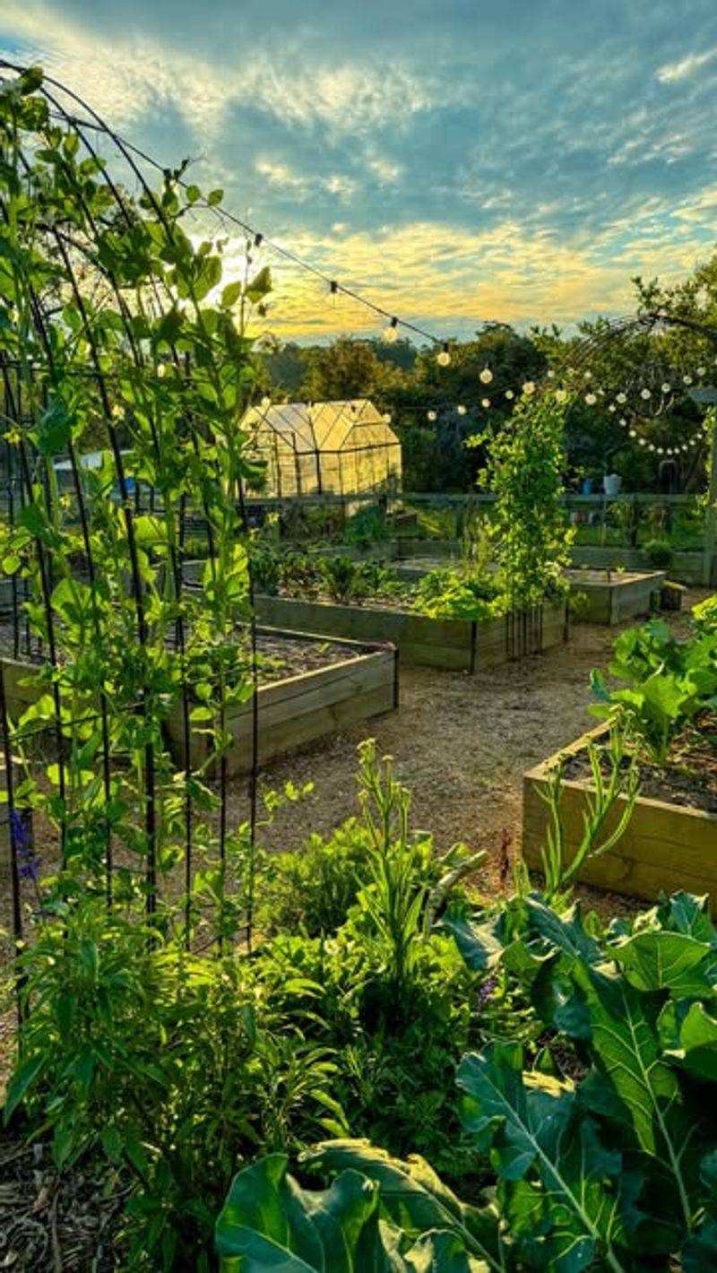 Plan Next Year's Garden Layout