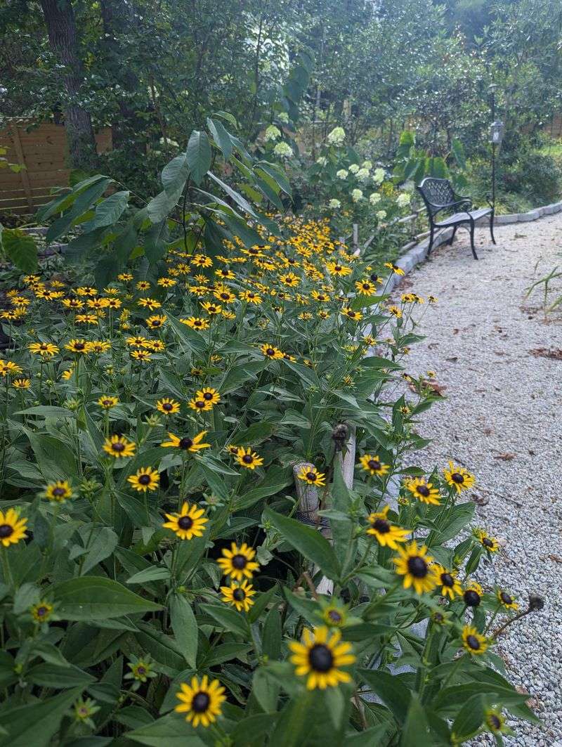 Apply Mulch After Cutting Back