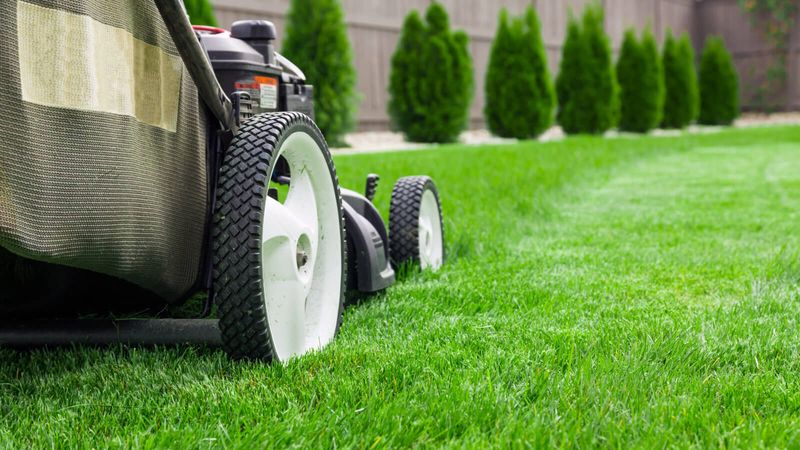 Mow Before Applying Fall Fertilizer