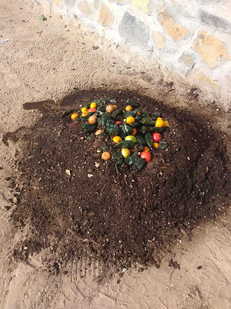 Add Organic Compost Generously