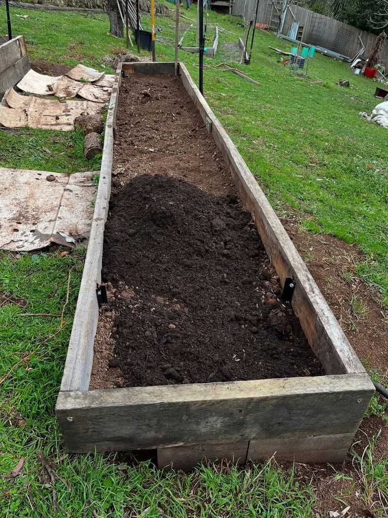 Add A Layer Of Compost Or Organic Matter