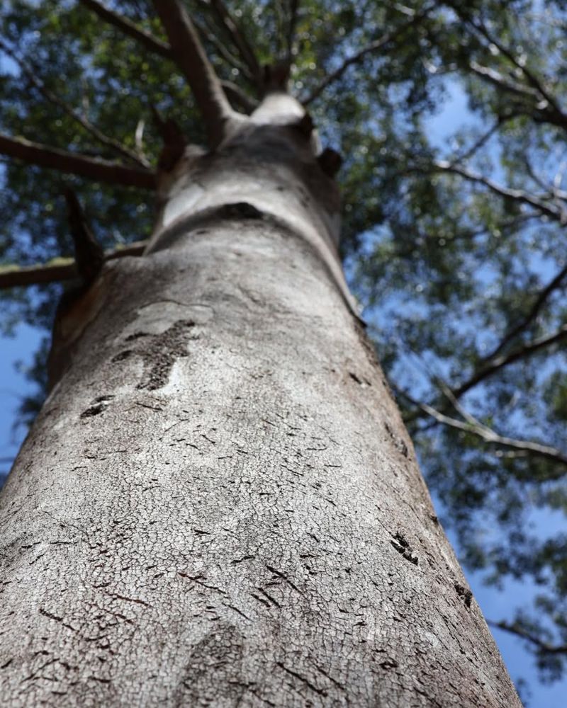 Standardized Warning System