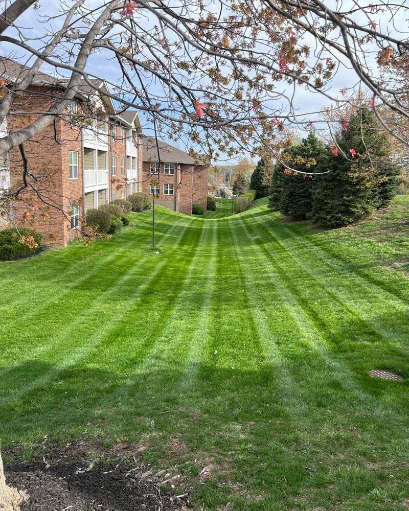 Lawn Mowing Destroys Their Homes
