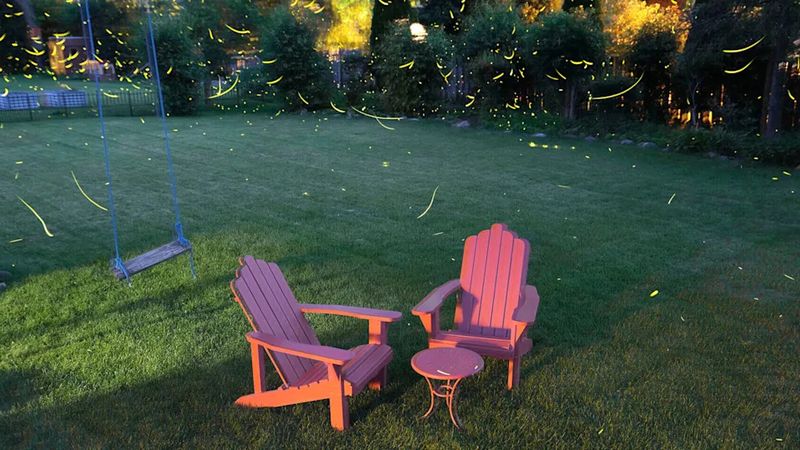 Lawn Care Practices Destroy Breeding Grounds