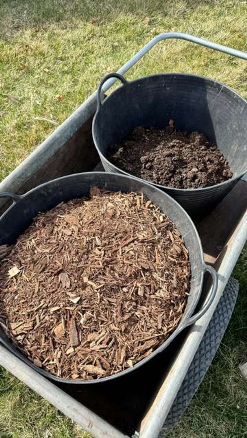 Compost