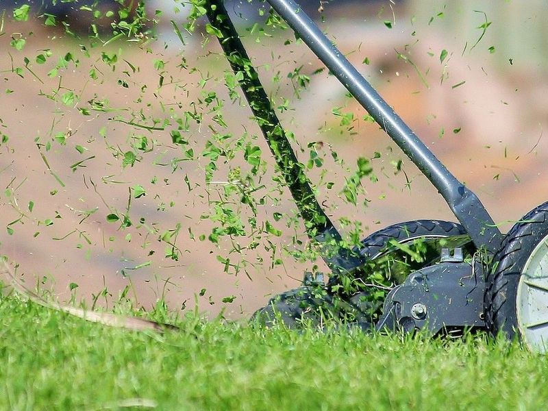 Grasscycling Leaves Feeds Your Lawn