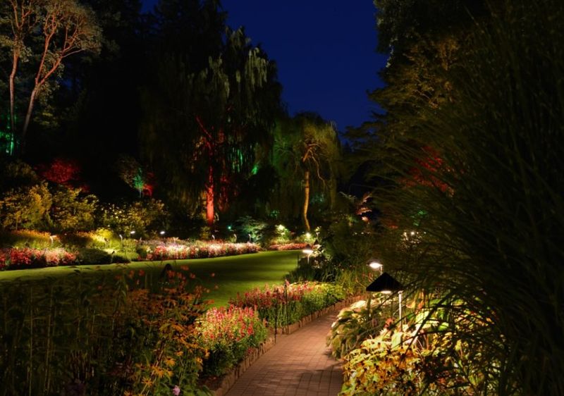 Illuminated Evening Walkways