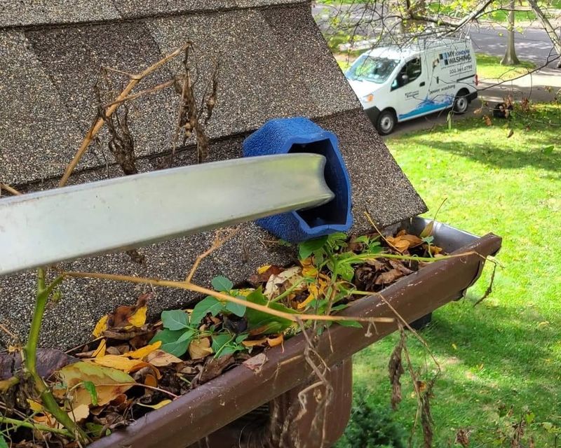 Hire Professional Gutter Services