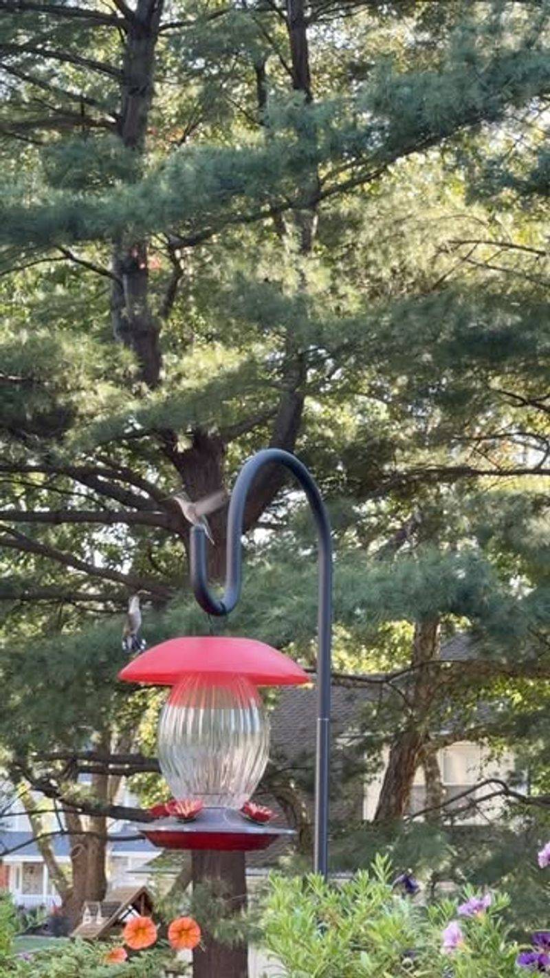 Temperature Drops Signal The Right Moment