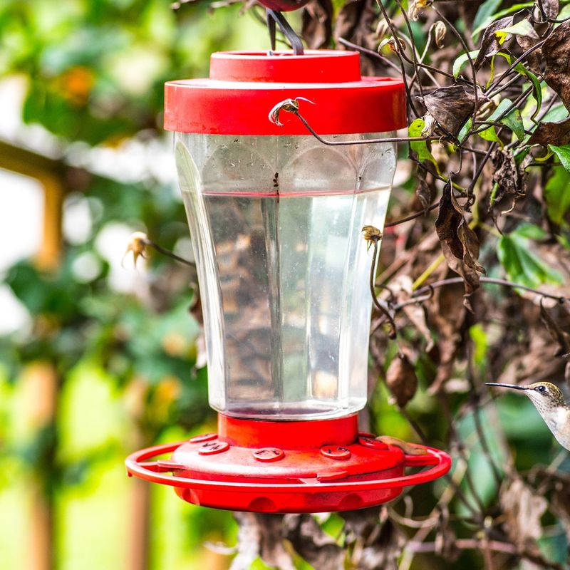 Clean Feeders Thoroughly Before Storage