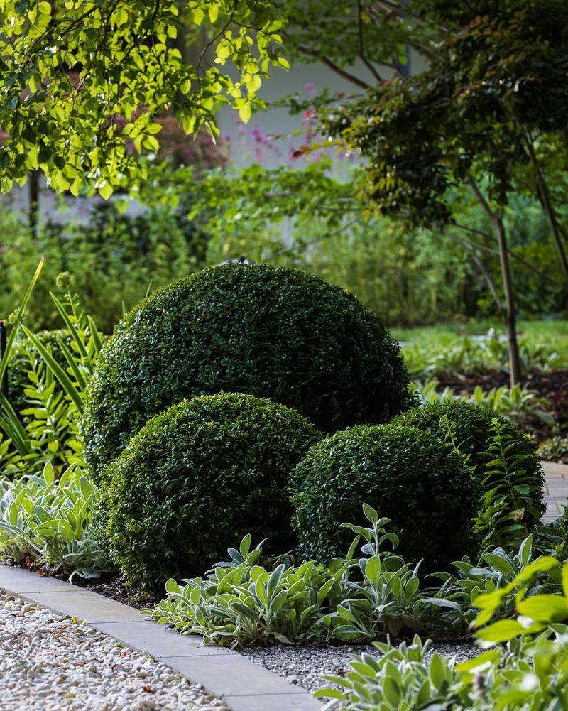 Plant a Strategic Shrub Border