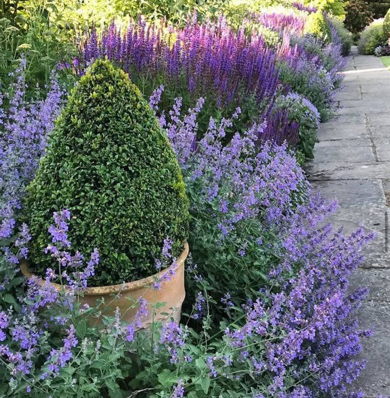 Mediterranean Garden Vignettes