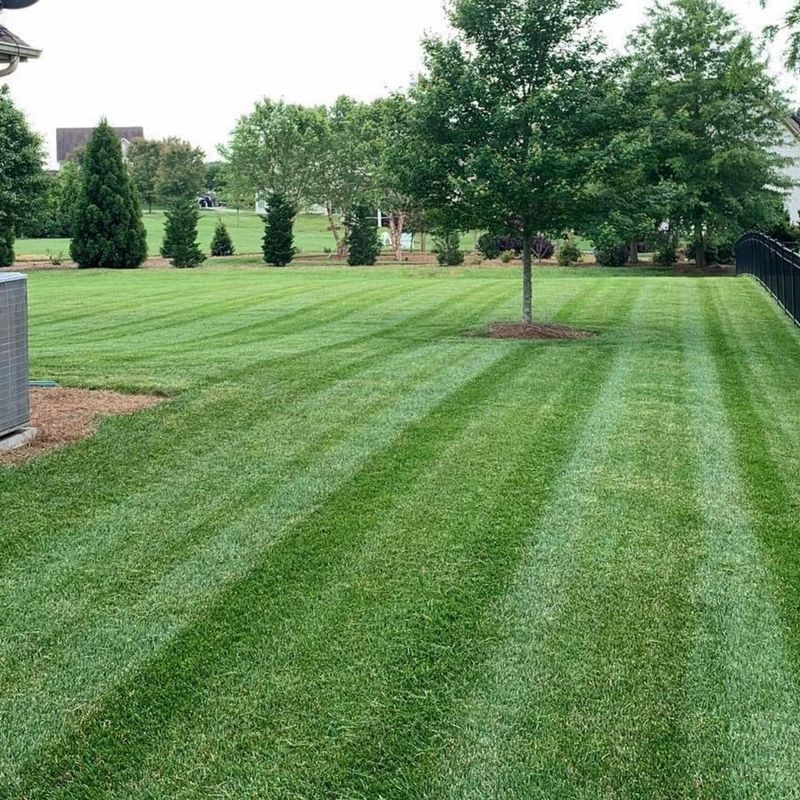 Leave Grass Clippings on Your Lawn