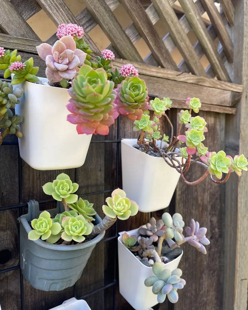 Vertical Wall Garden With Warm Hues