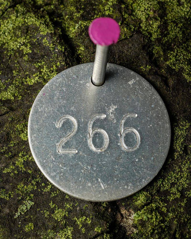 Protection Against Vandalism