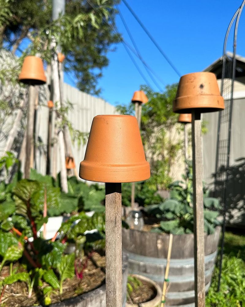 Overturn Clay Pots on Small Plants