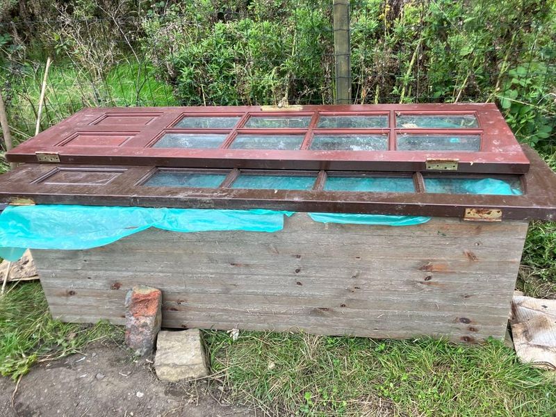 Protect In Cold Frames Or Unheated Garage