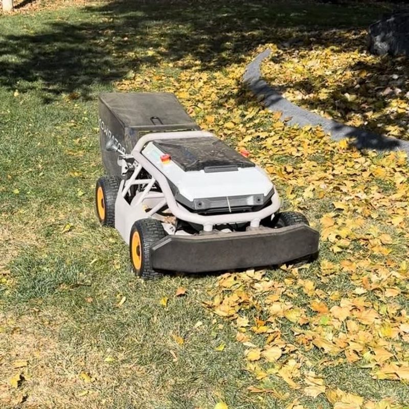 Mow Leaves Into Your Lawn