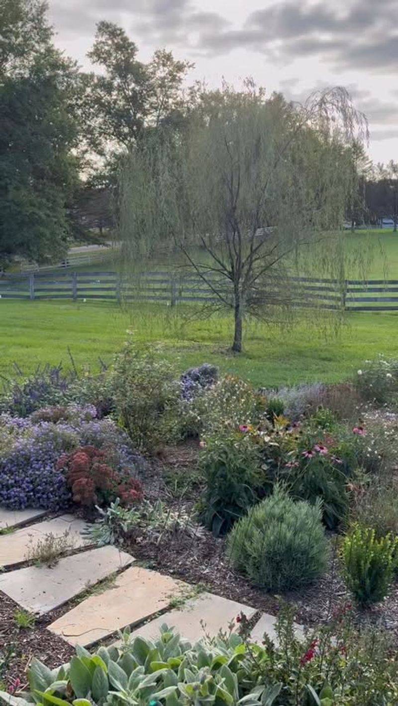 Delay Garden Cleanup