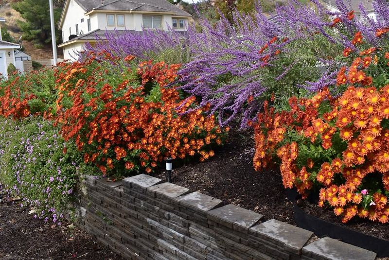 Interlock Mulch With Existing Vegetation