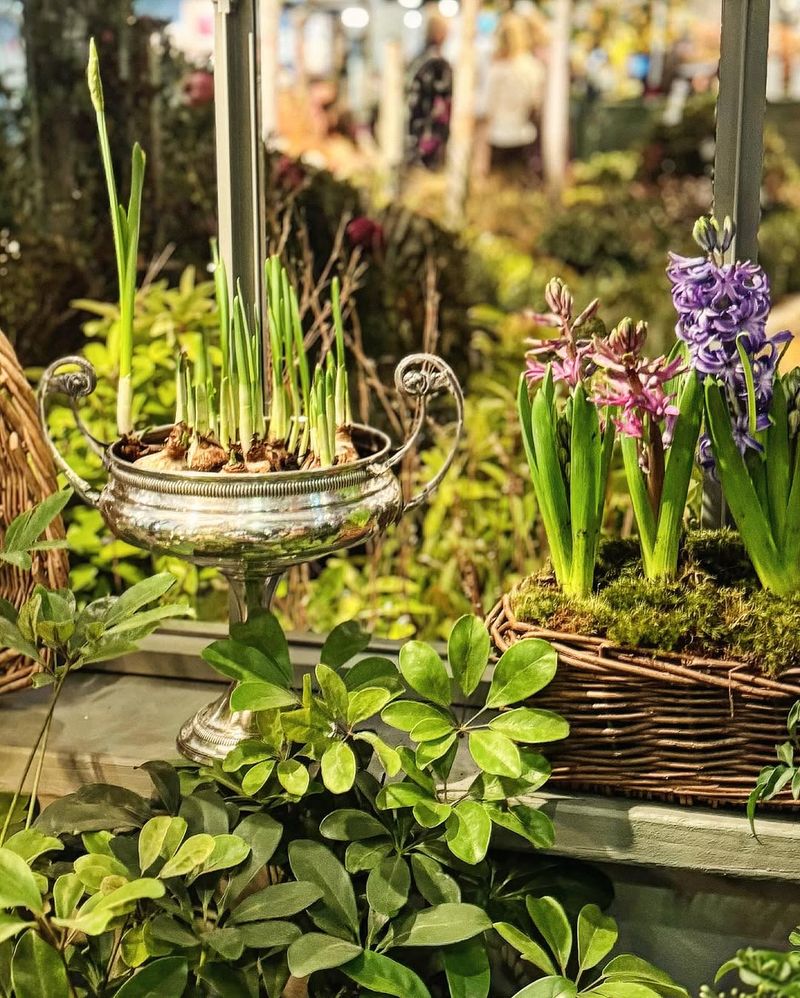 Layer Bulbs For Spring Surprises