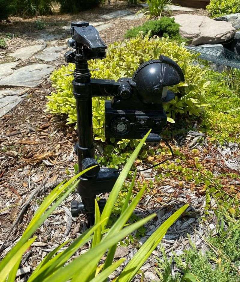 Install Motion-Activated Sprinklers