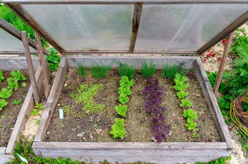 Set Up a Cold Frame