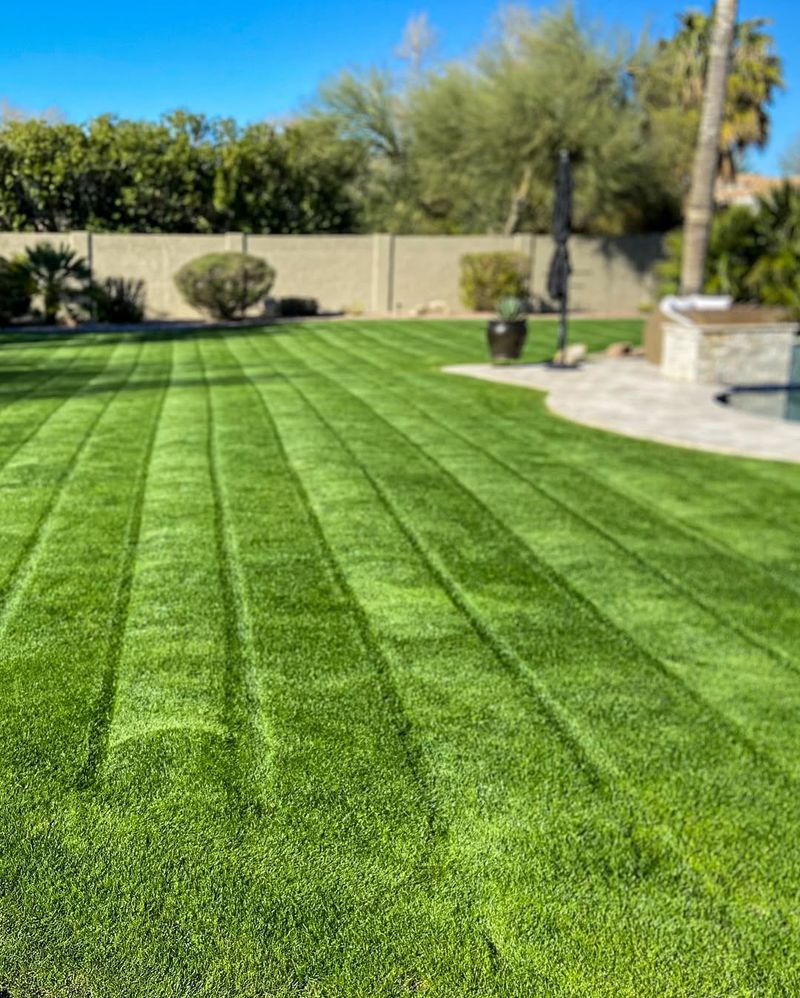 Maintain A Well-Trimmed Lawn
