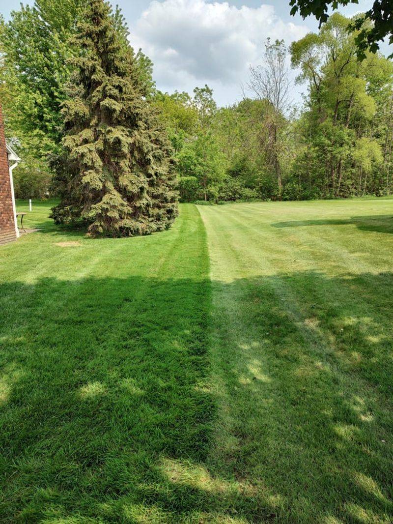 Maintain A Well-Trimmed Lawn