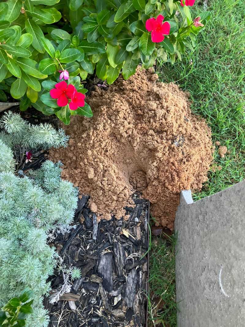 Flood Gopher Tunnels with Water