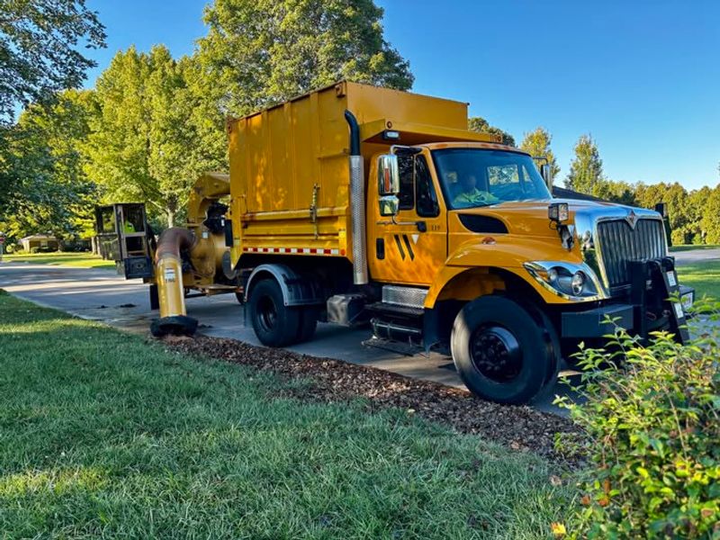 Participate In Municipal Leaf Programs