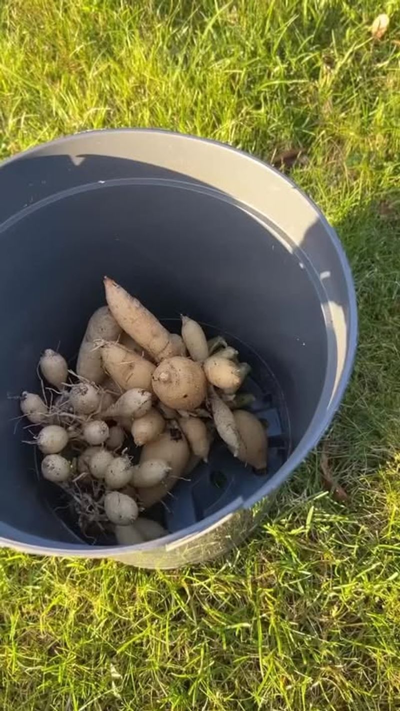 Store In Proper Containers With Medium