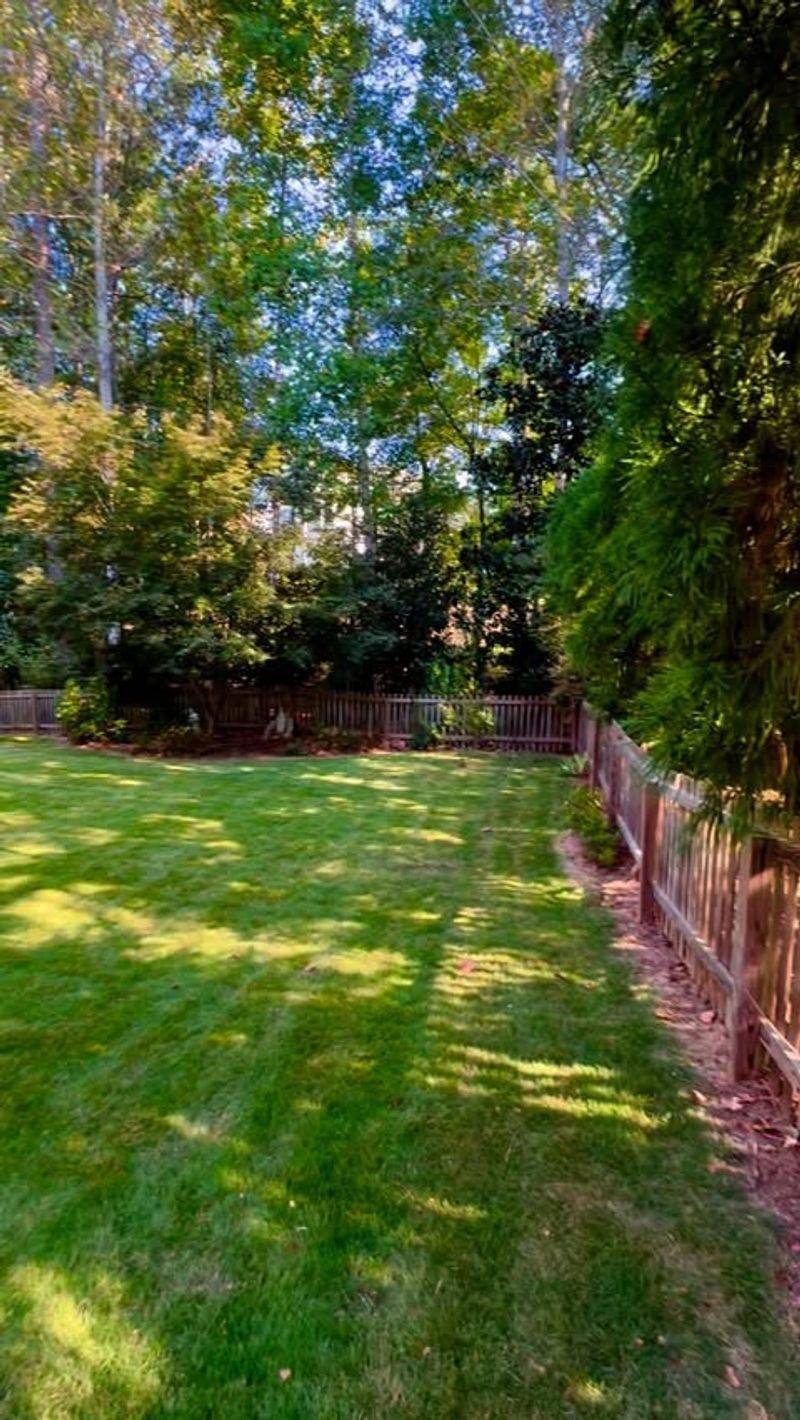 Clean Up And Mulch After You Finish