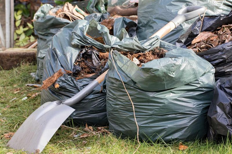 Remove All Debris To Prevent Pests And Disease
