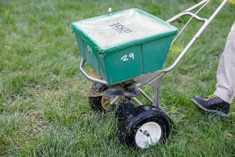 Ignoring Fall Fertilization Schedules