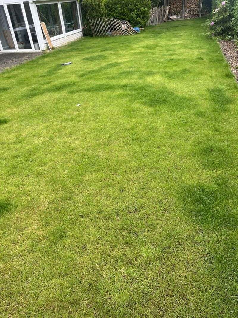 Improper Fall Fertilization